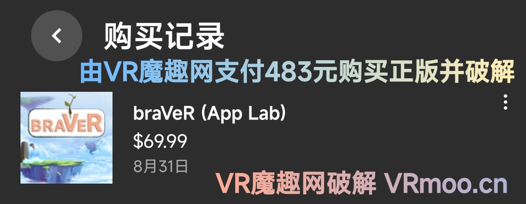 2333VR | Oculus Quest 游戏《勇敢者》braVeR