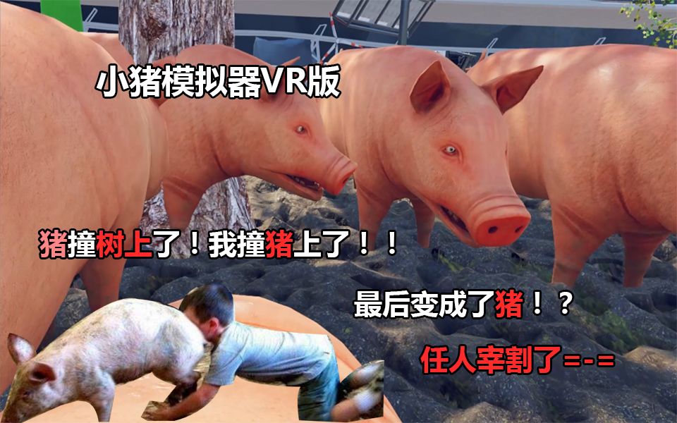 2333VR | 小猪模拟器（pig simulator VR）