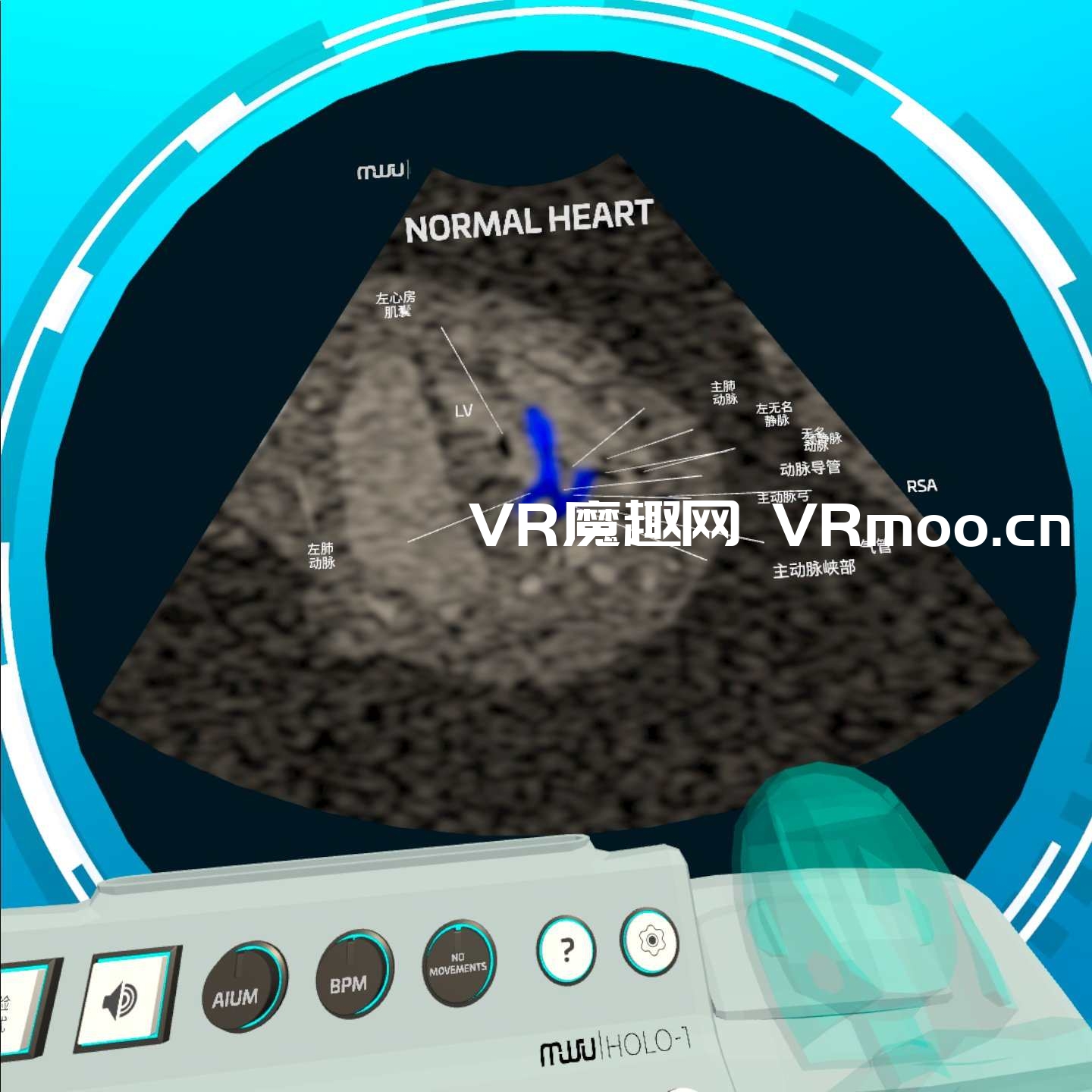 2333VR | Oculus Quest 医学《Fetal Heart VR 汉化版》心脏病医学VR