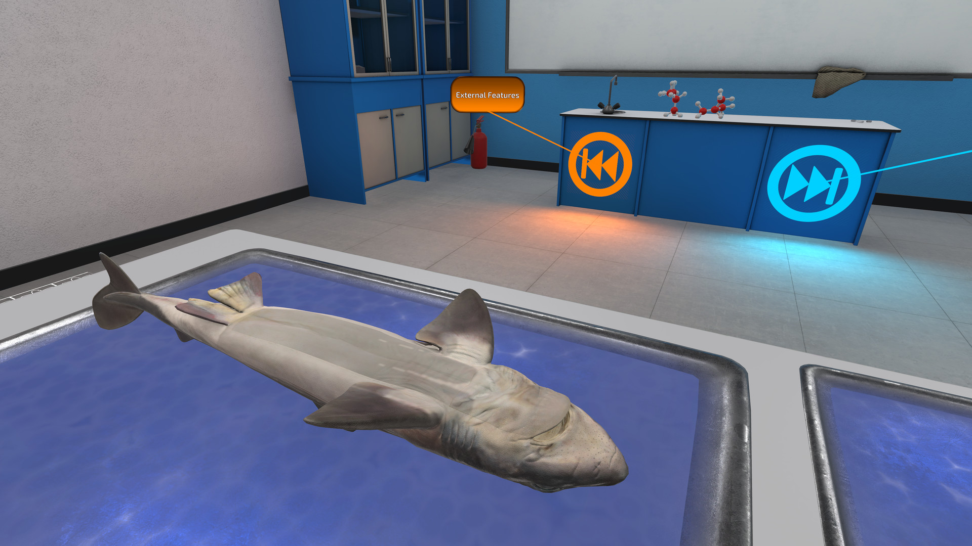 2333VR | Oculus Quest 游戏《Dissection Simulator: Shark Edition VR》解剖模拟器：鲨鱼版