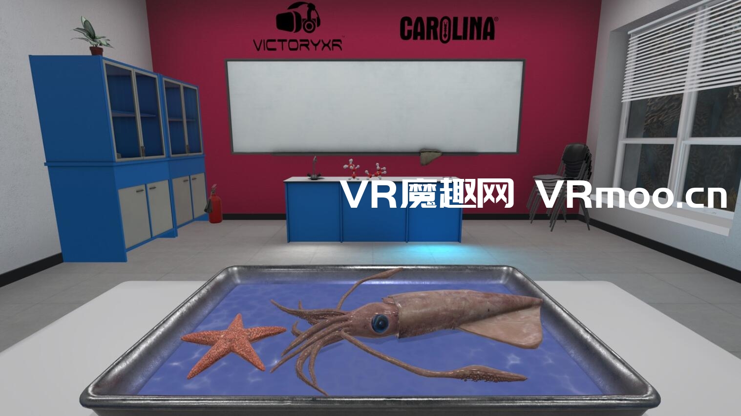 2333VR | Oculus Quest 游戏《Dissection Simulator: Invertebrate Edition》解剖模拟器：无脊椎动物版