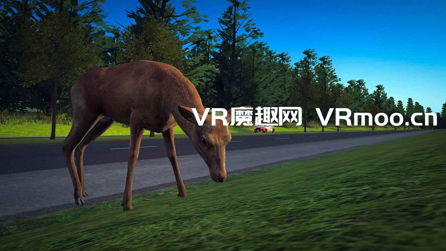 2333VR | Oculus Quest 游戏《Street Sense VR》驾驶执照