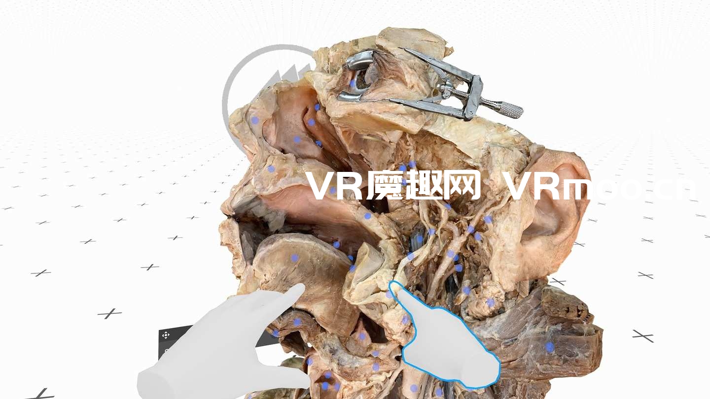 2333VR | Oculus Quest 游戏《医疗全息甲板解剖大师 XR》Medicalholodeck is Dissection Master XR