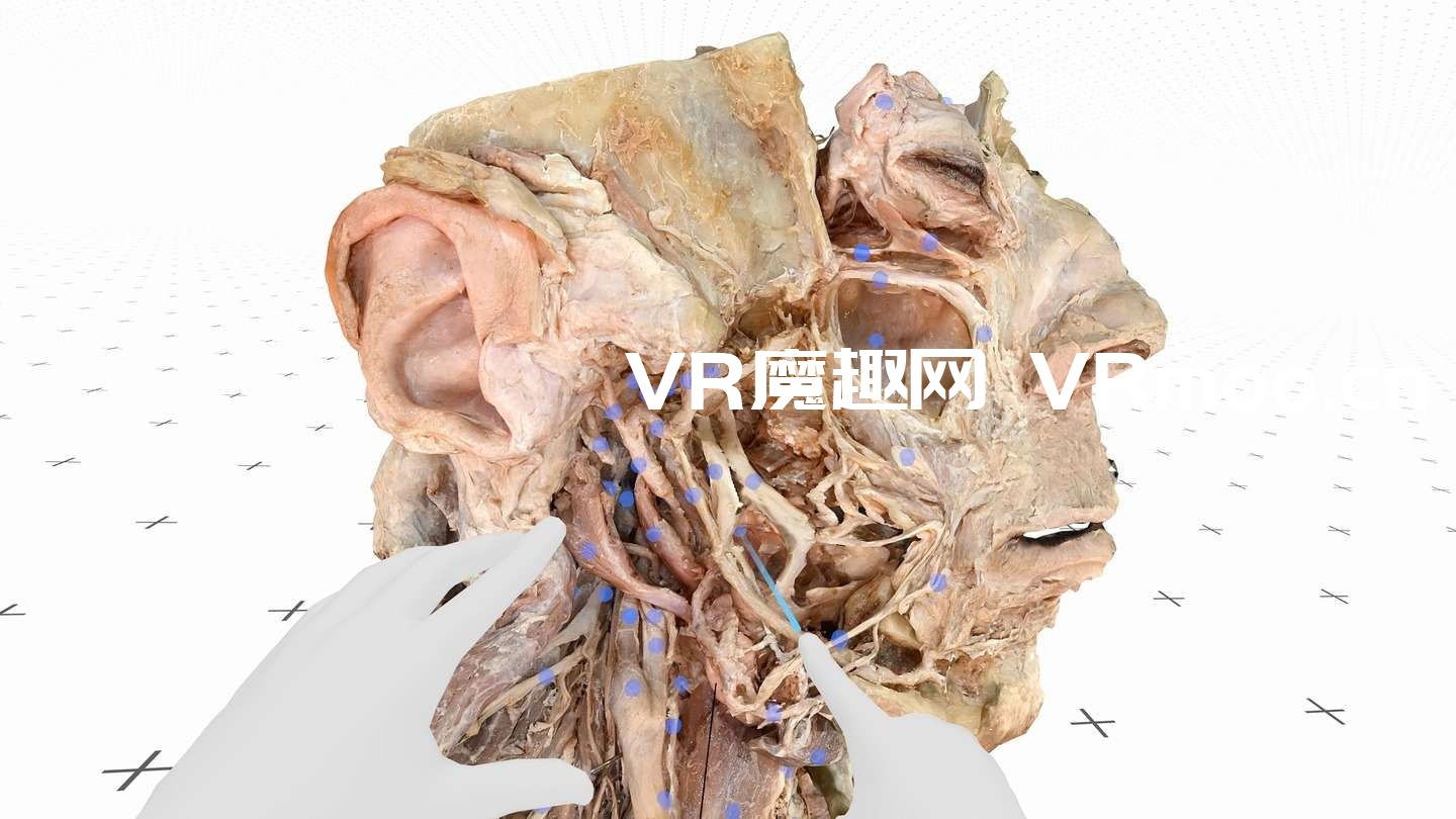 2333VR | Oculus Quest 游戏《医疗全息甲板解剖大师 XR》Medicalholodeck is Dissection Master XR