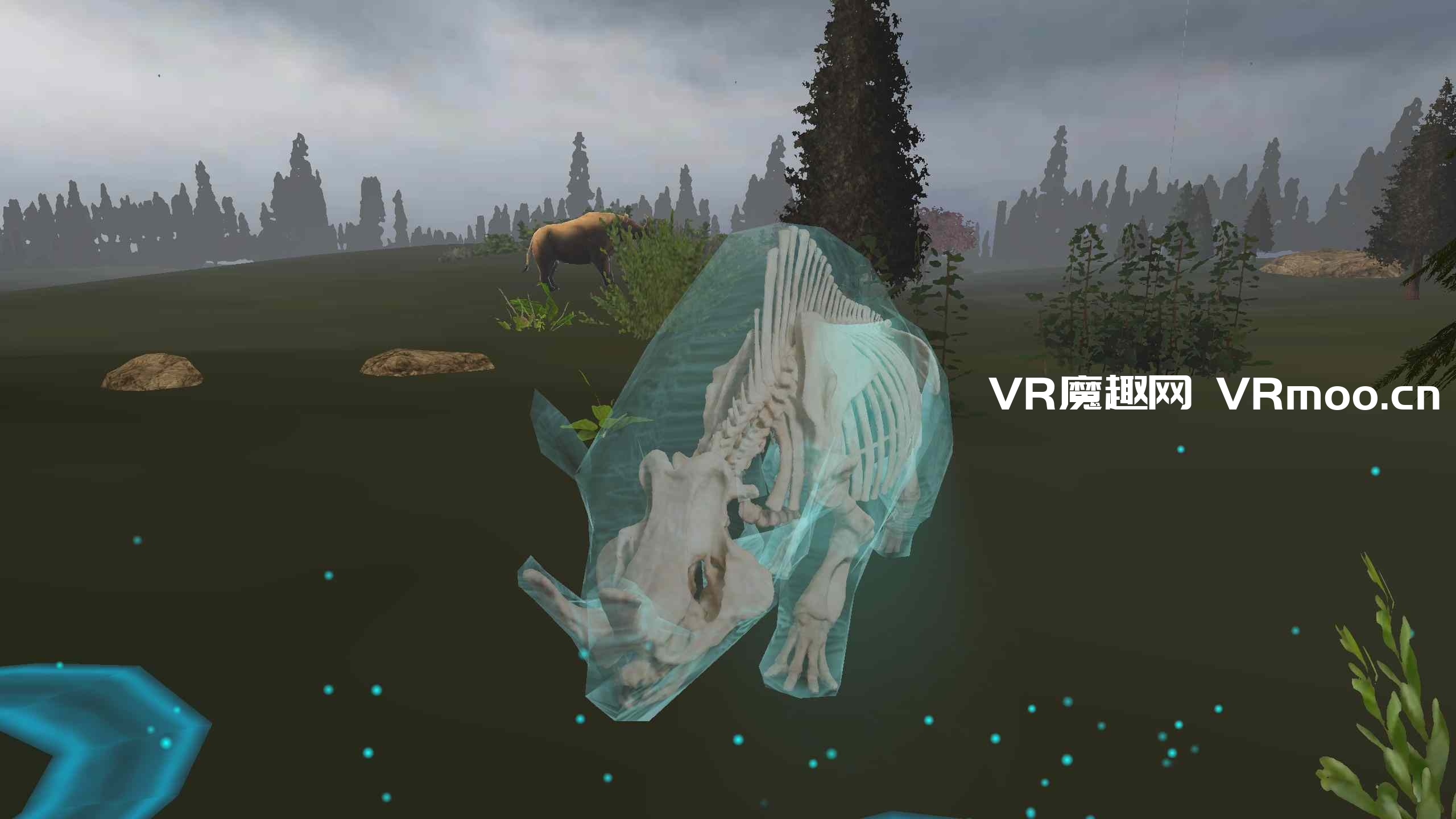 2333VR | Oculus Quest 游戏《内布拉斯加州探险：自然历史 VR 博物馆》Expedition Nebraska: A Natural History VR Experience