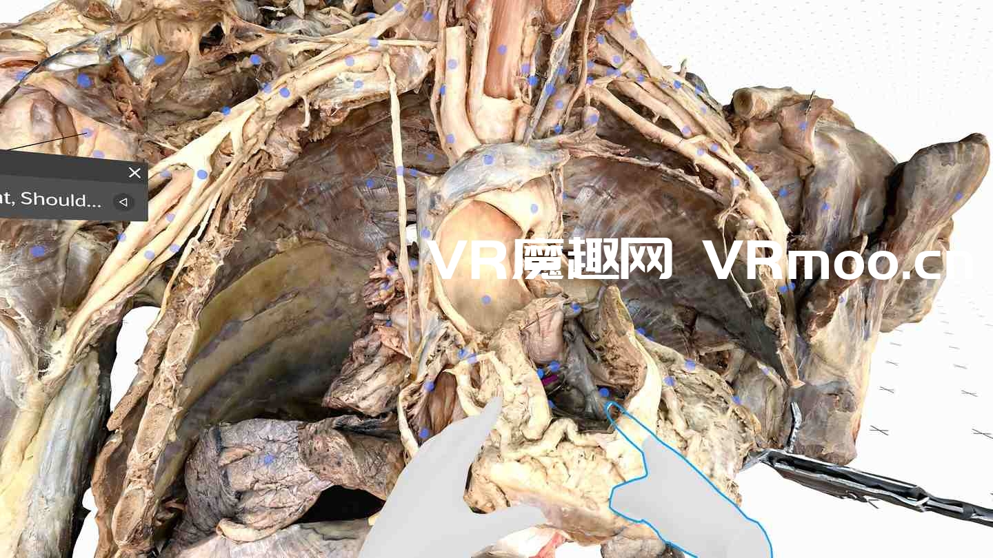 2333VR | Oculus Quest 游戏《医疗全息甲板解剖大师 XR》Medicalholodeck is Dissection Master XR