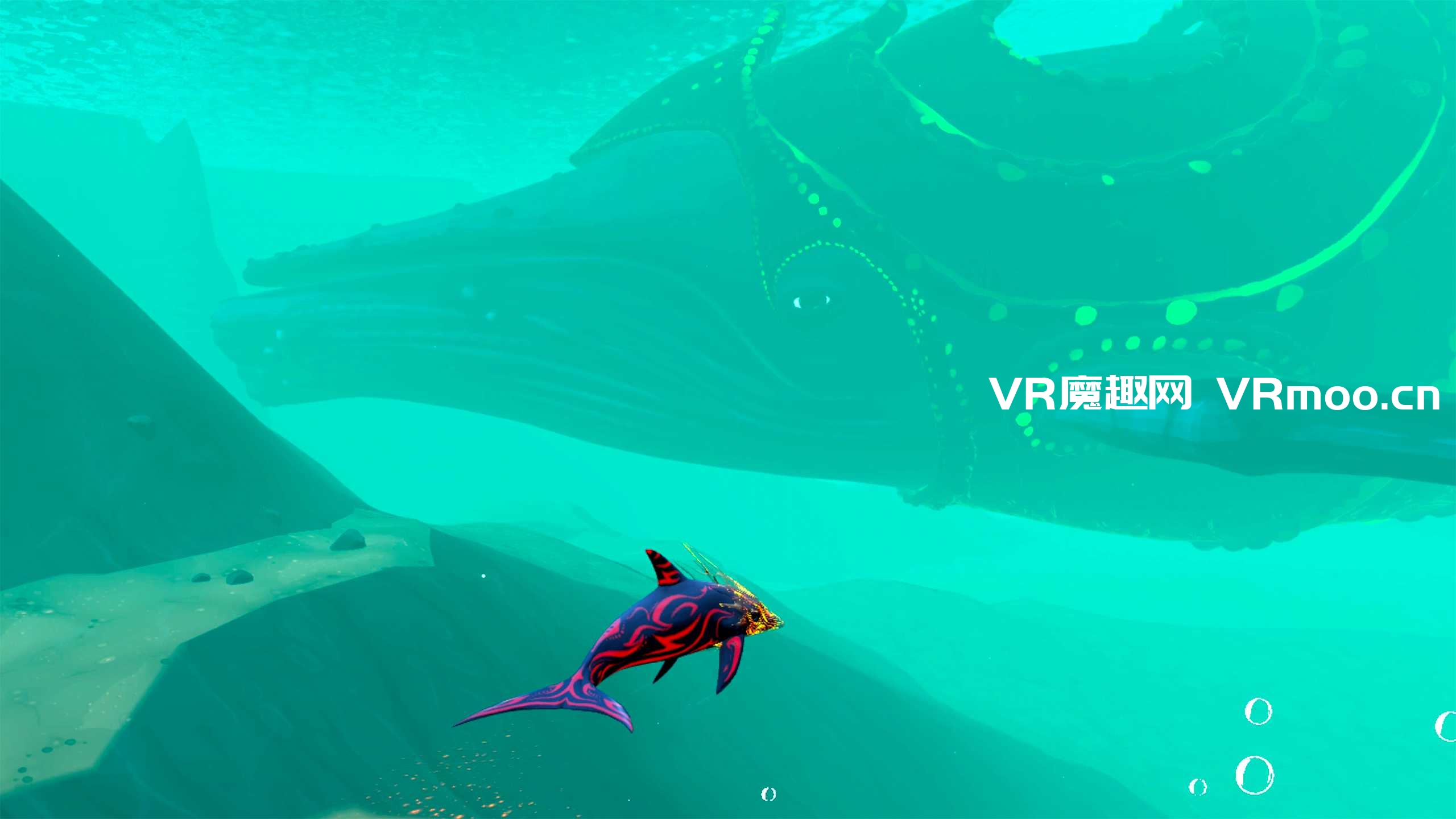2333VR | Oculus Quest 游戏《两只海豚》Jupiter & Mars VR