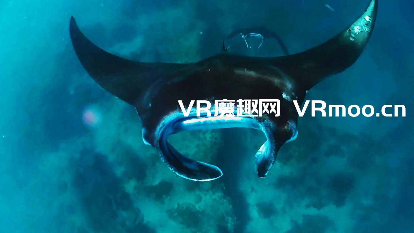 2333VR | Oculus Quest 游戏《Komodo VR》科莫多