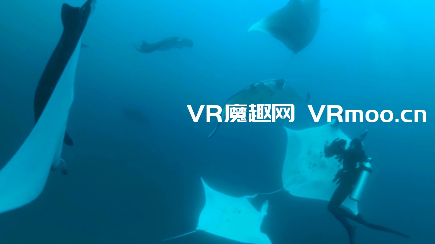 2333VR | Oculus Quest 游戏《Komodo VR》科莫多