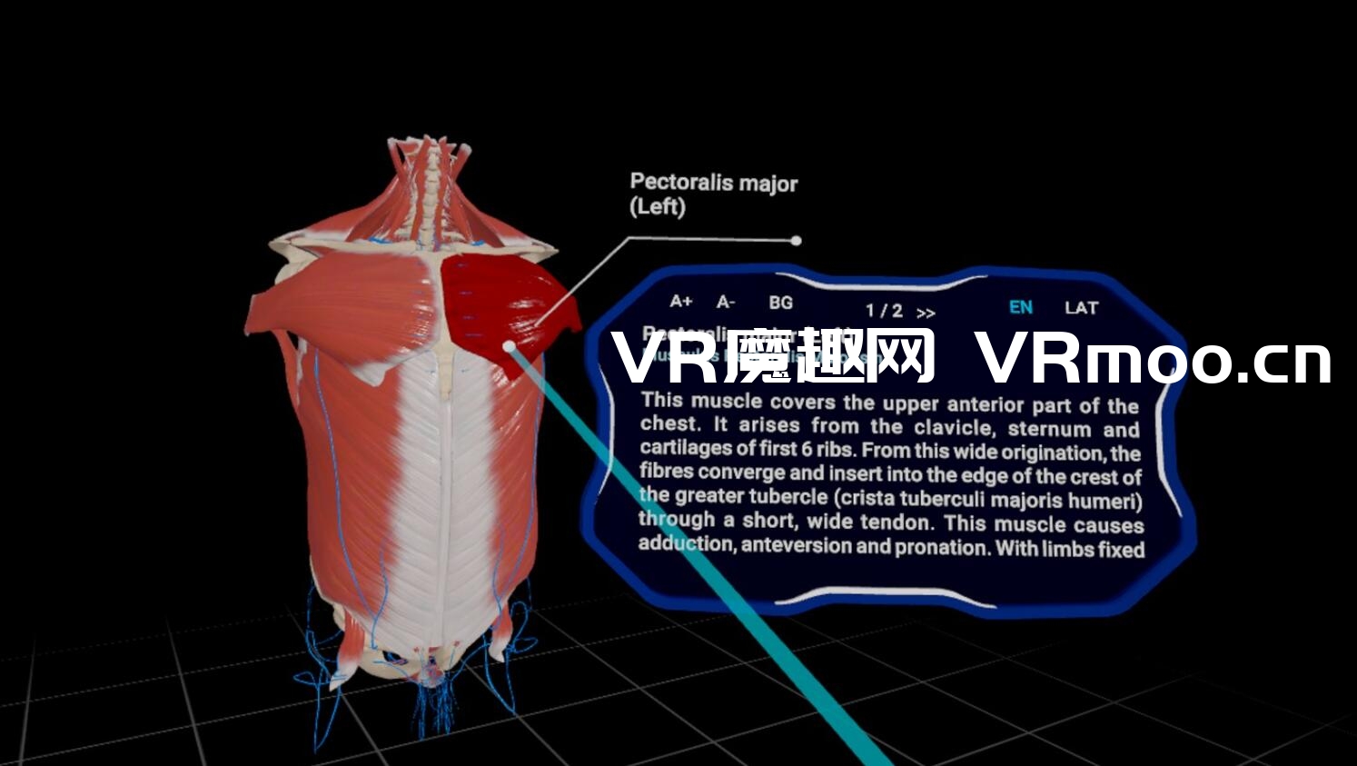 2333VR | Oculus Quest 游戏《High School Anatomy for Quest》高中解剖学 VR