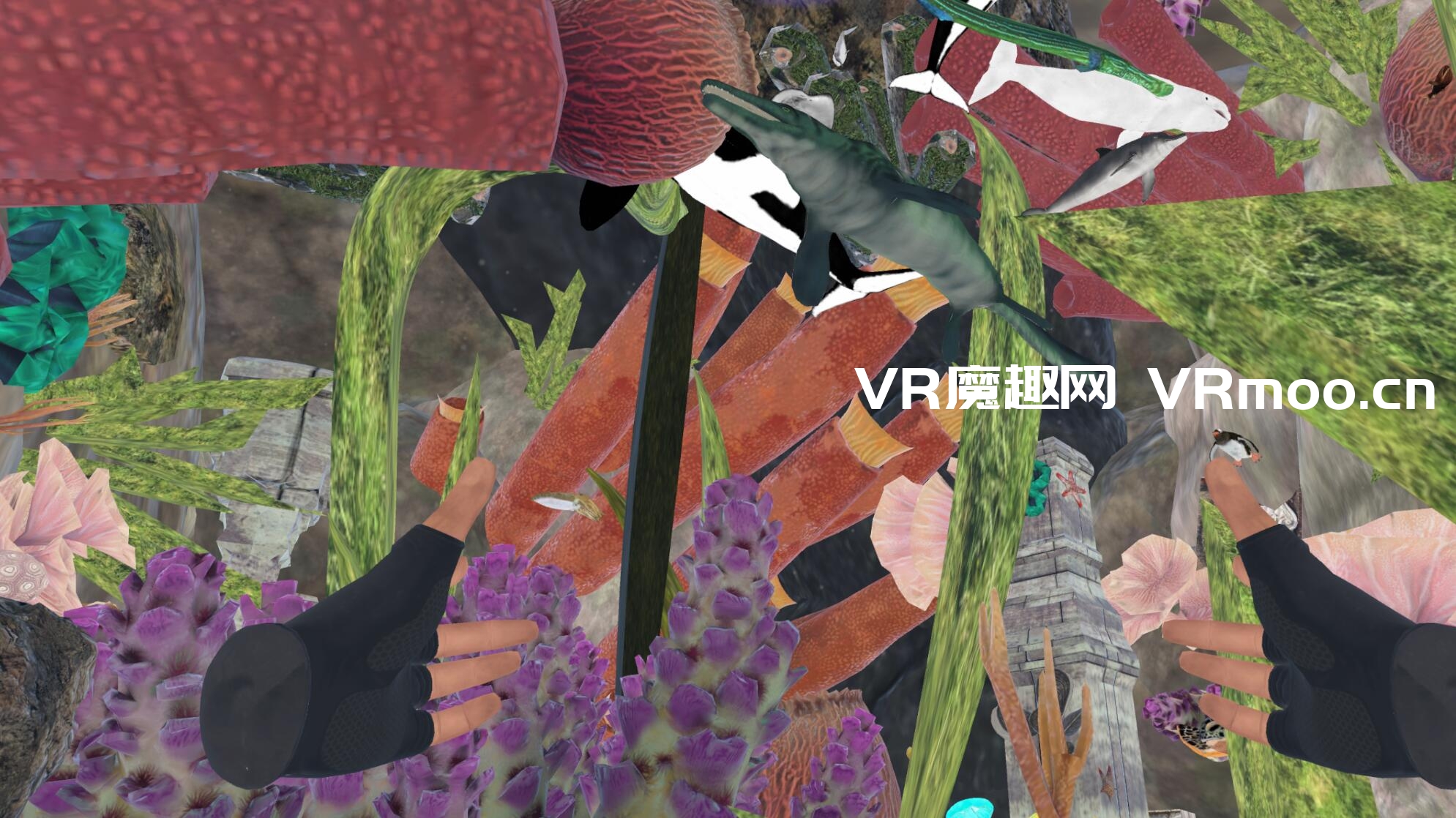 2333VR | Meta Quest 游戏《ZOSU Ocean》拯救海洋