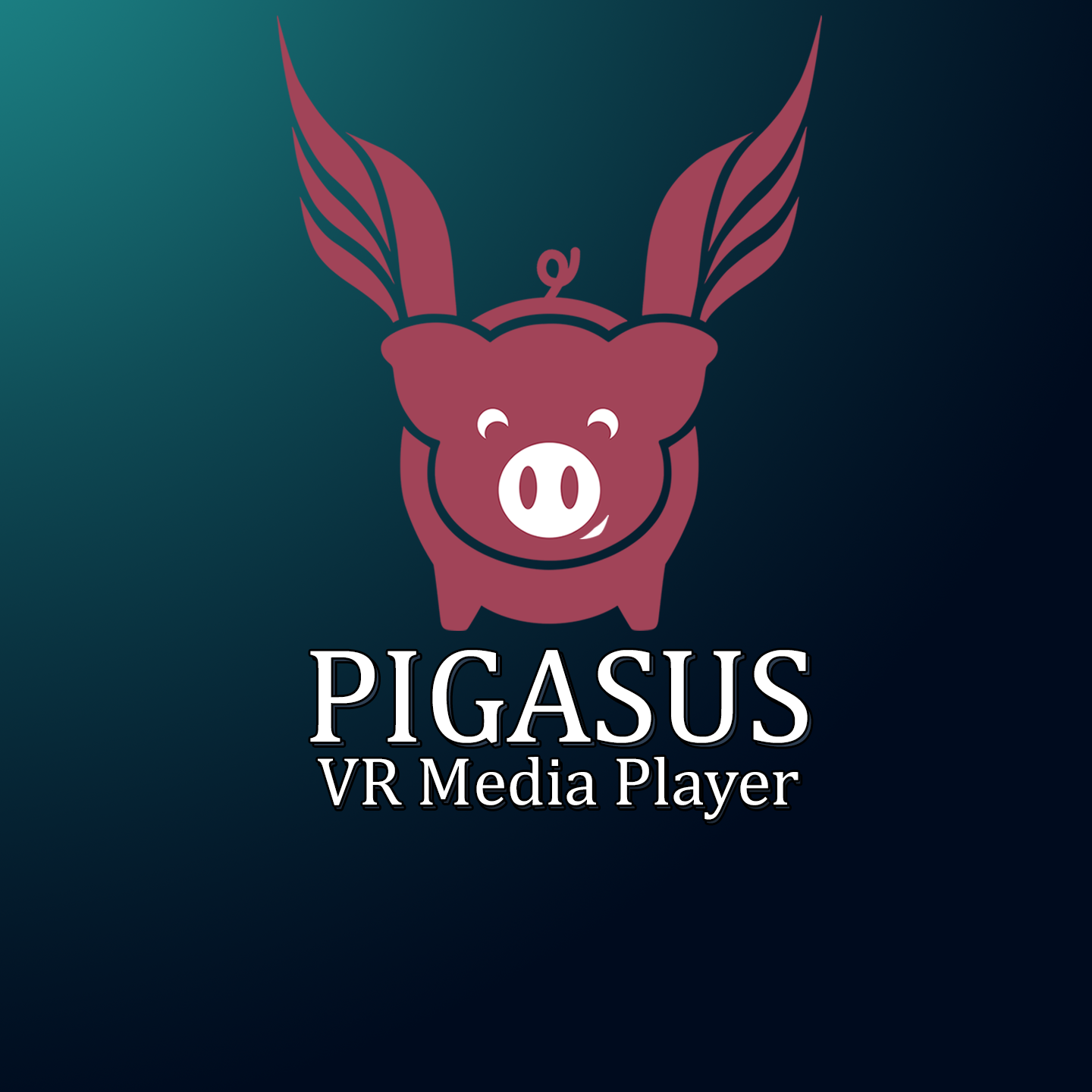 2333VR | 飞猪播放器(Pigasus VR Media Player)