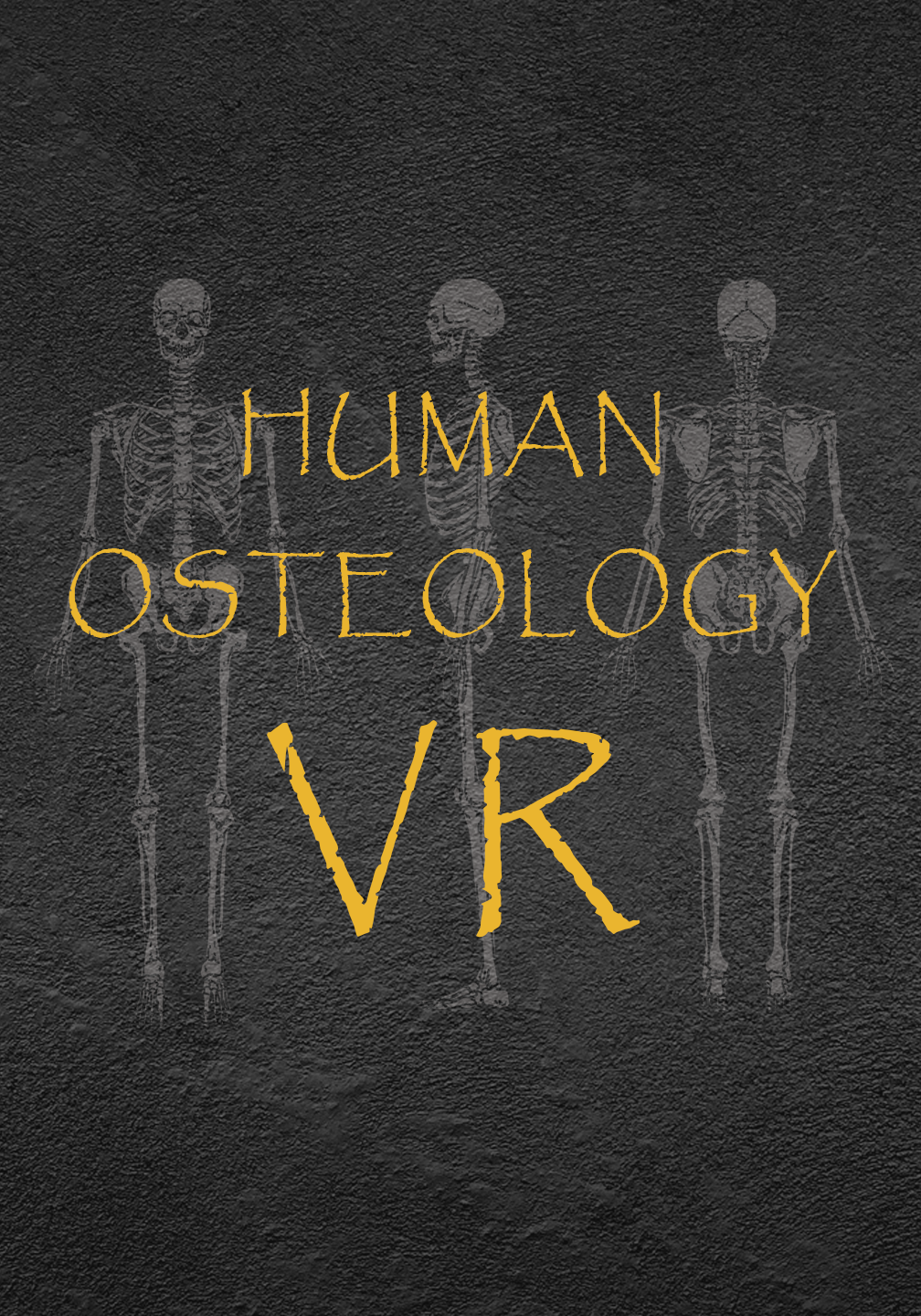 2333VR | 人类骨科学（Human Osteology VR）