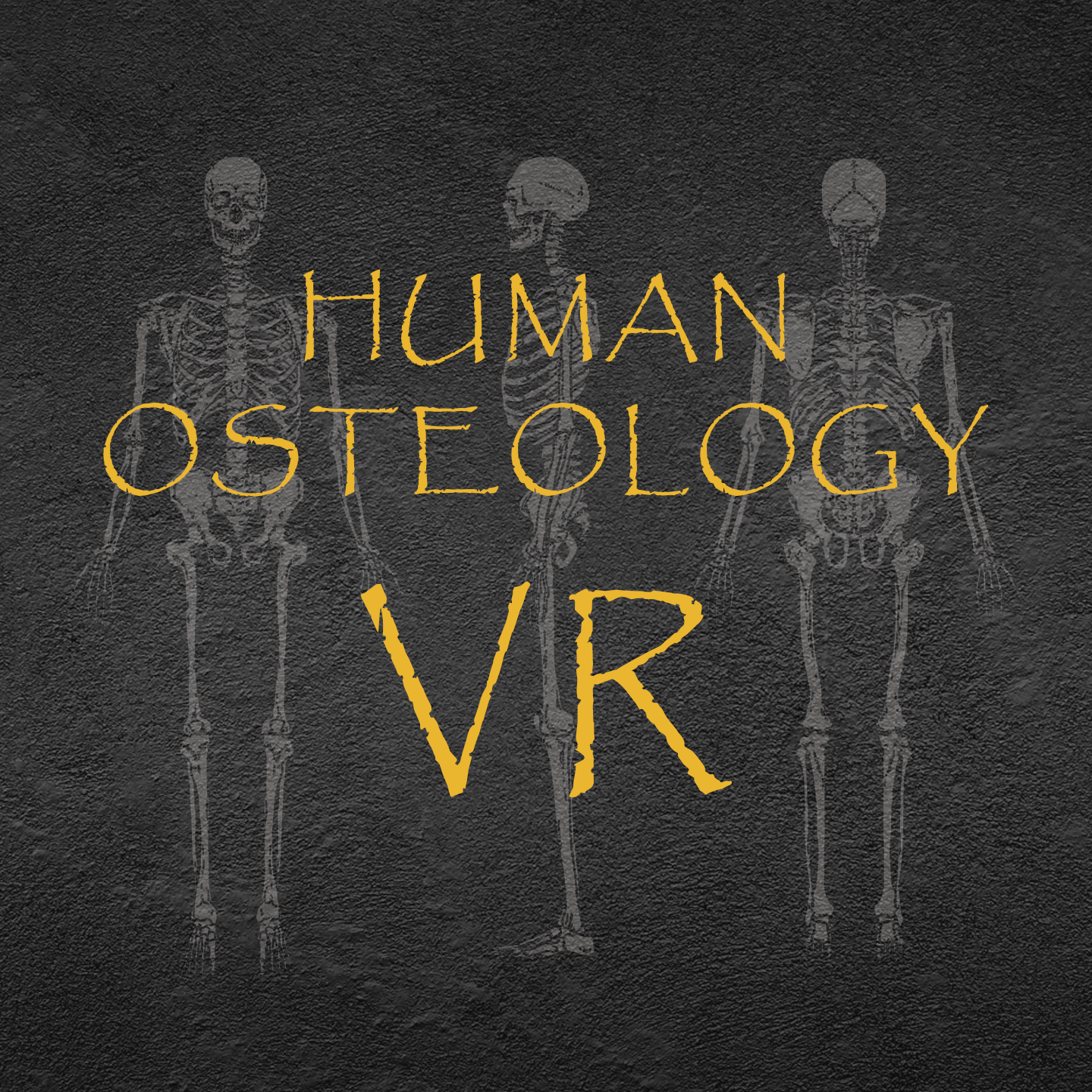 2333VR | 人类骨科学（Human Osteology VR）