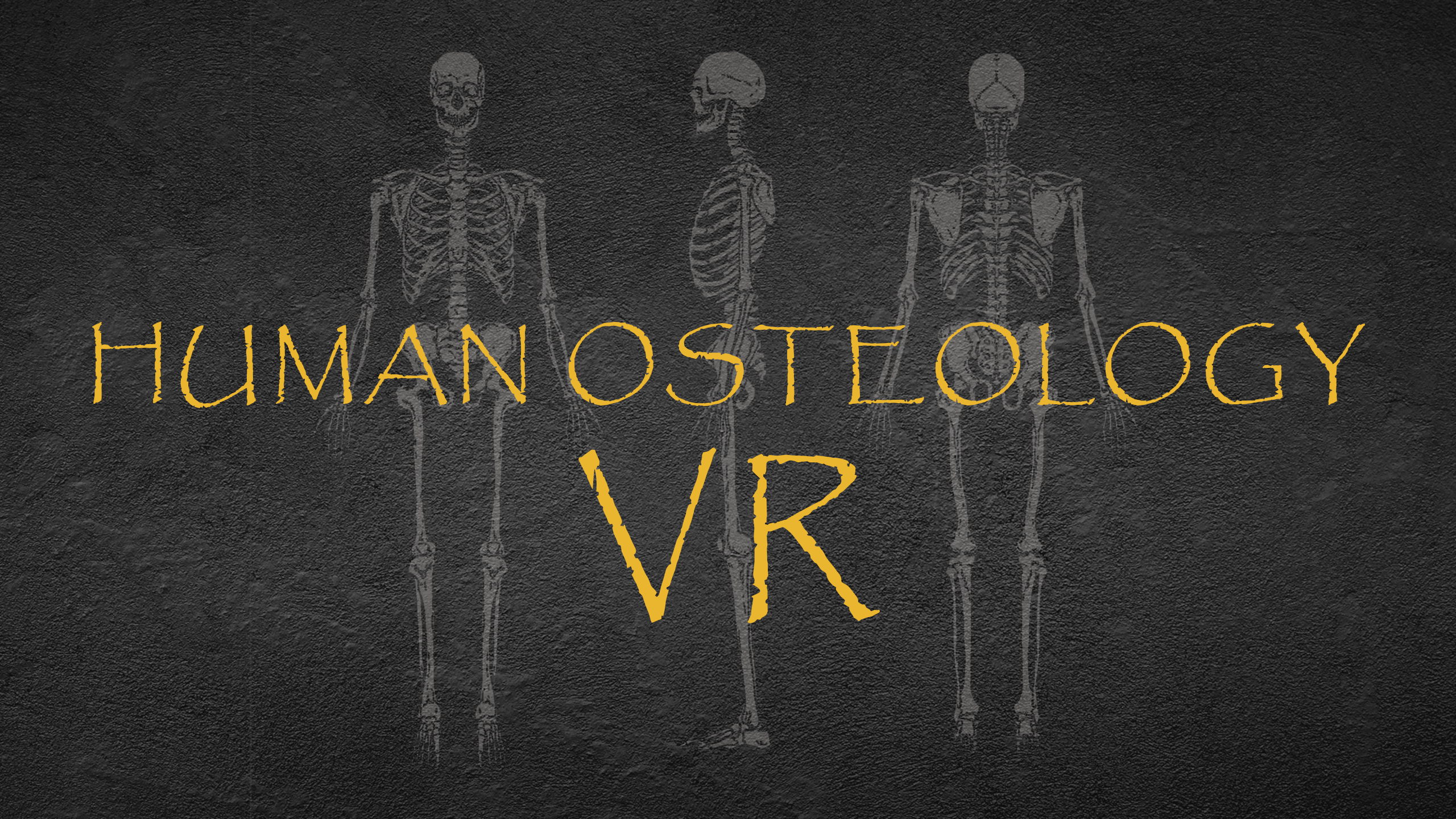 2333VR | 人类骨科学（Human Osteology VR）