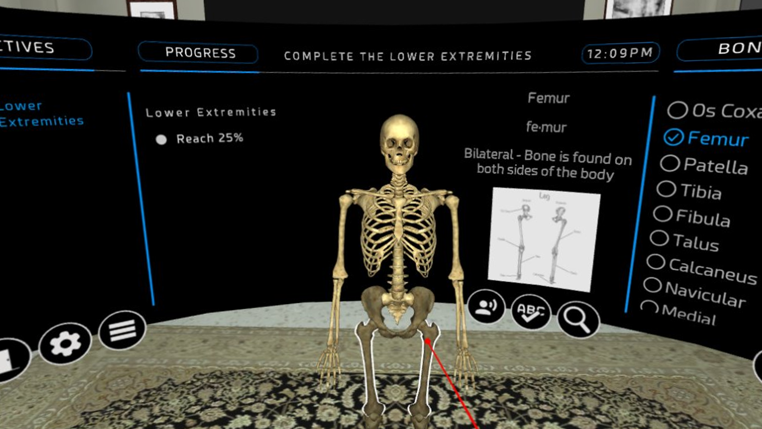 2333VR | 人类骨科学（Human Osteology VR）